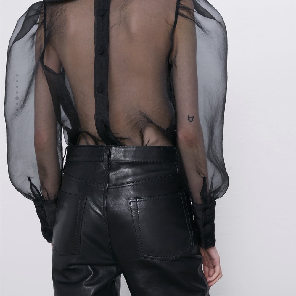 Zara organza blouse bloggers favorite - Picture 6 of 9